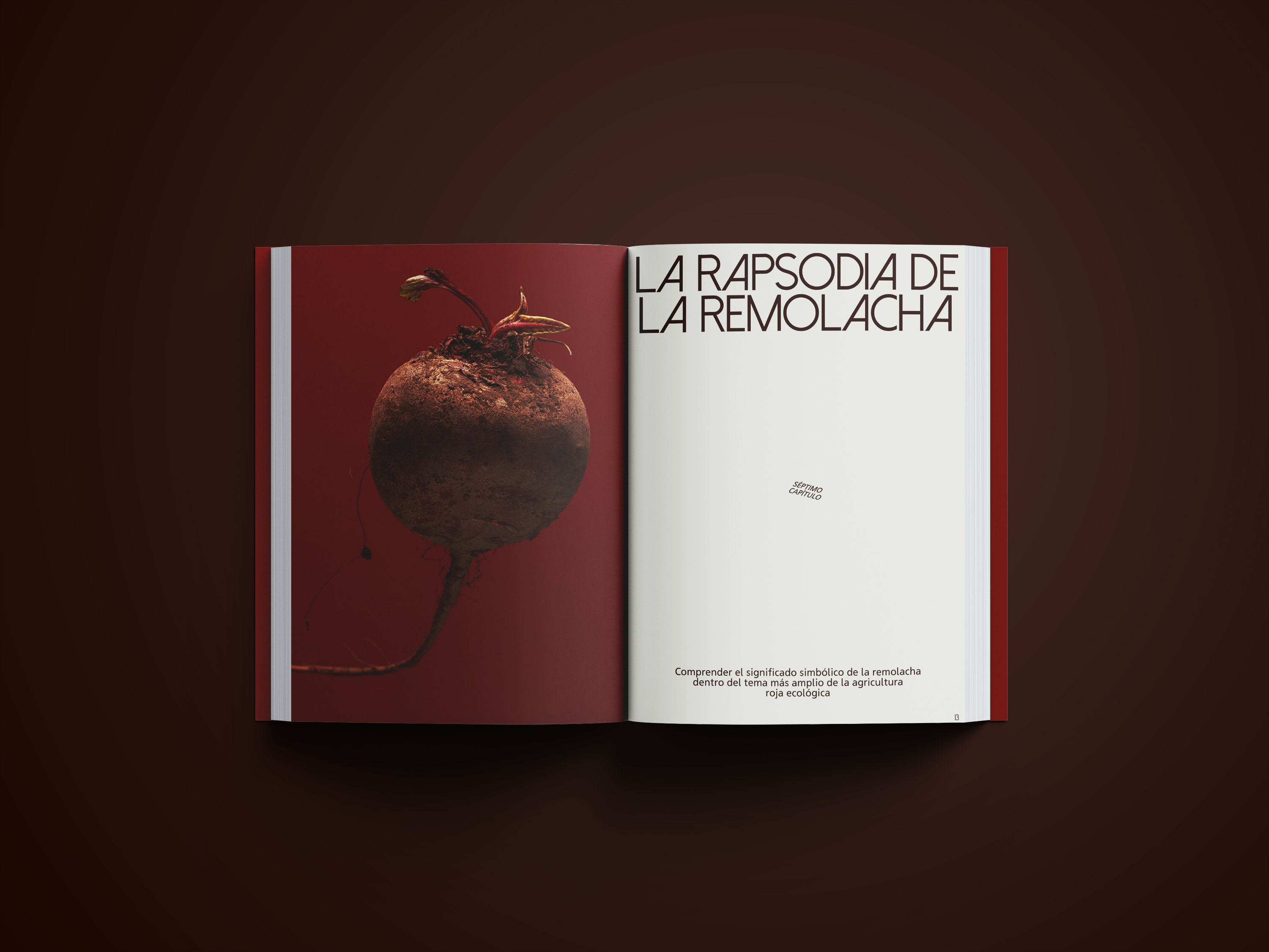 Editorial on "red" with organic produce, dynamic visuals, and structured typography.