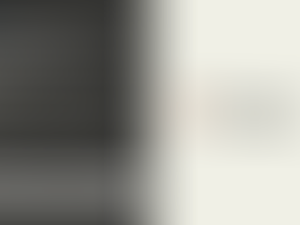 anthropic claude opus 4.6