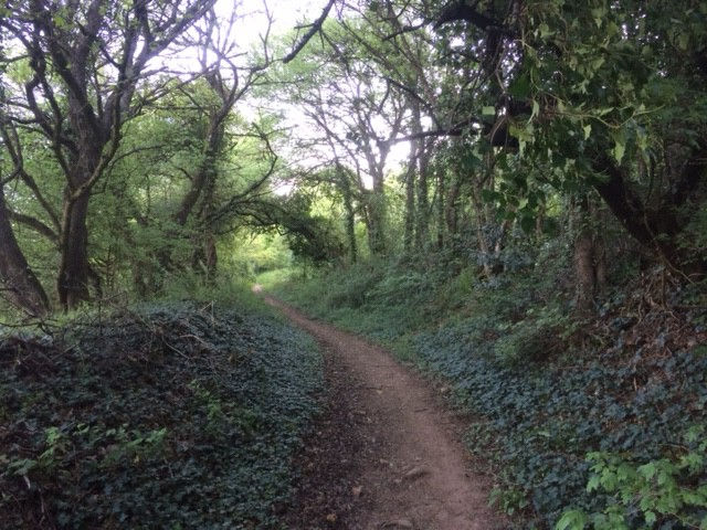 Chemin vers l'église 2