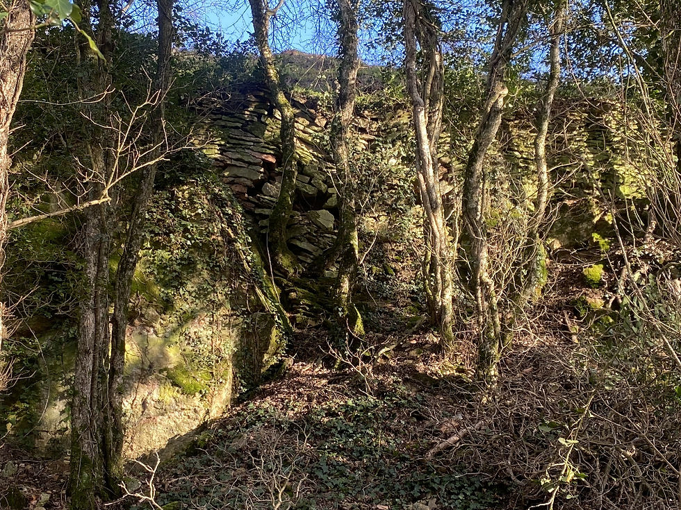 Mur en pierre sèche vers le bourg