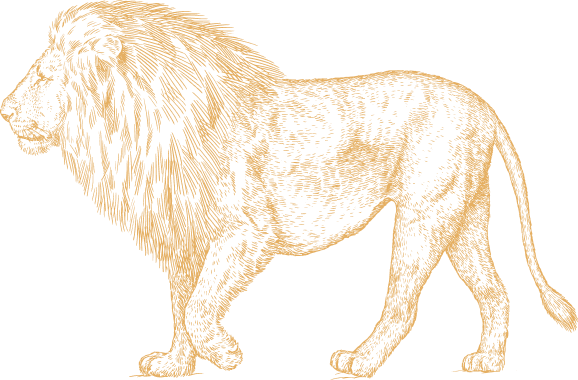 Zouga & Wolf lion logomark representing house legacy, lineage and bespoke outfitting