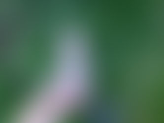 The cosmic giggle has entered the chat