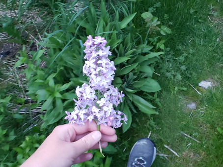 The cosmic giggle has entered the chat