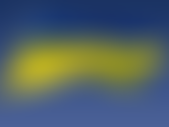 For the Victory of the Oppressed Nation of Ukraine against the Invasion! (Declaration)
