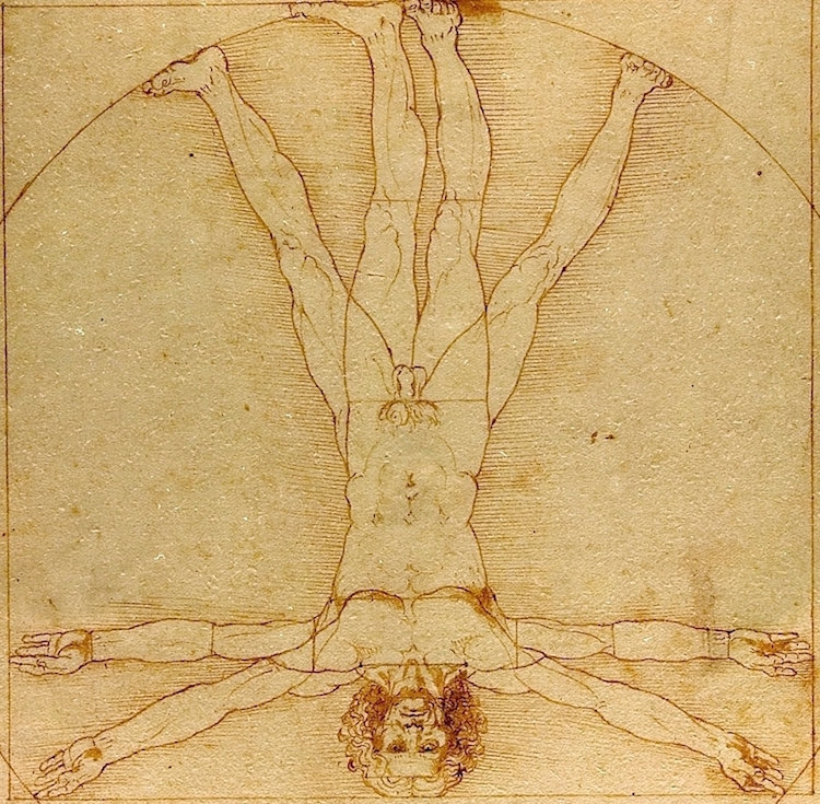 Vitruvian Man (Upside down).jpeg