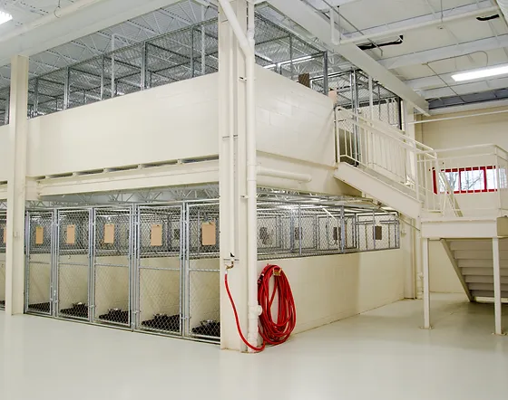 best dog crates 2019