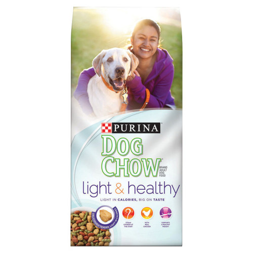 female golden lab mix