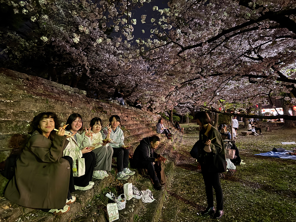 お花見をしました