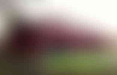 Bouwen van 70 sociale woongelegenheden - grondgebonden woningen