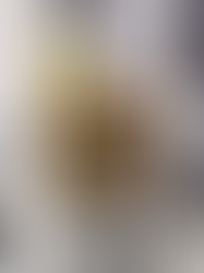 The Innovative Pioneers of New Era' Footwear Industry