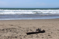 Beach, San Francisco
