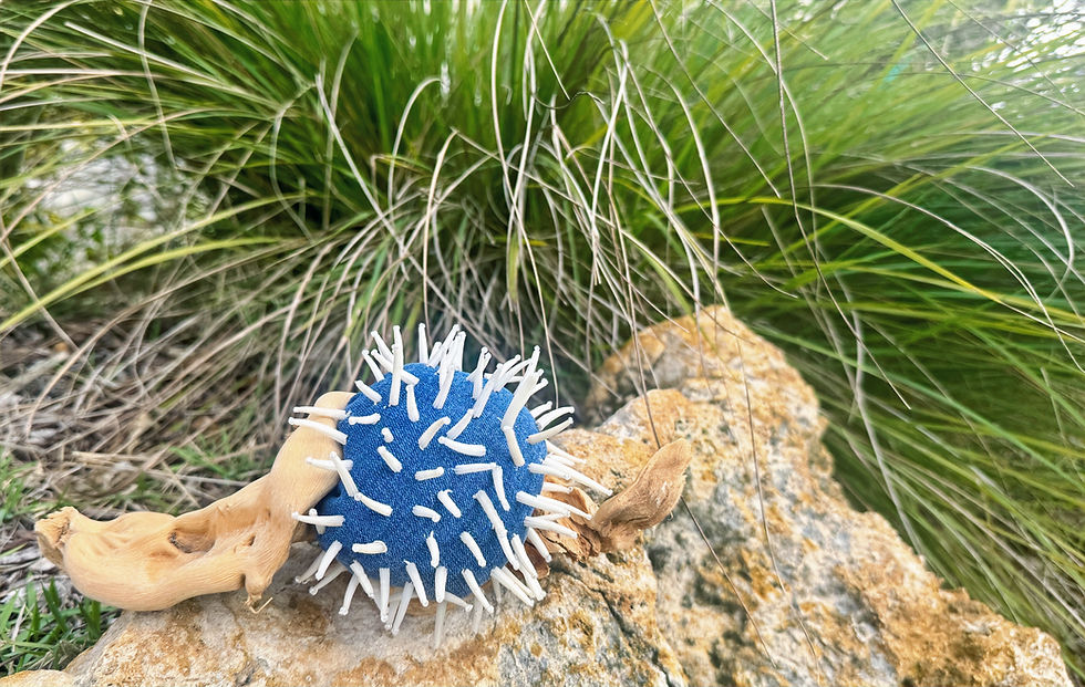 Sea Urchin sculpture