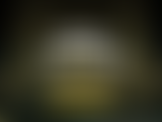 O Núcleo Catarinense de CCQ acompanhou mais um importante momento de valorização da melhoria contínua.