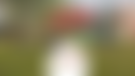 Nossos Programas de Desenvolvimento