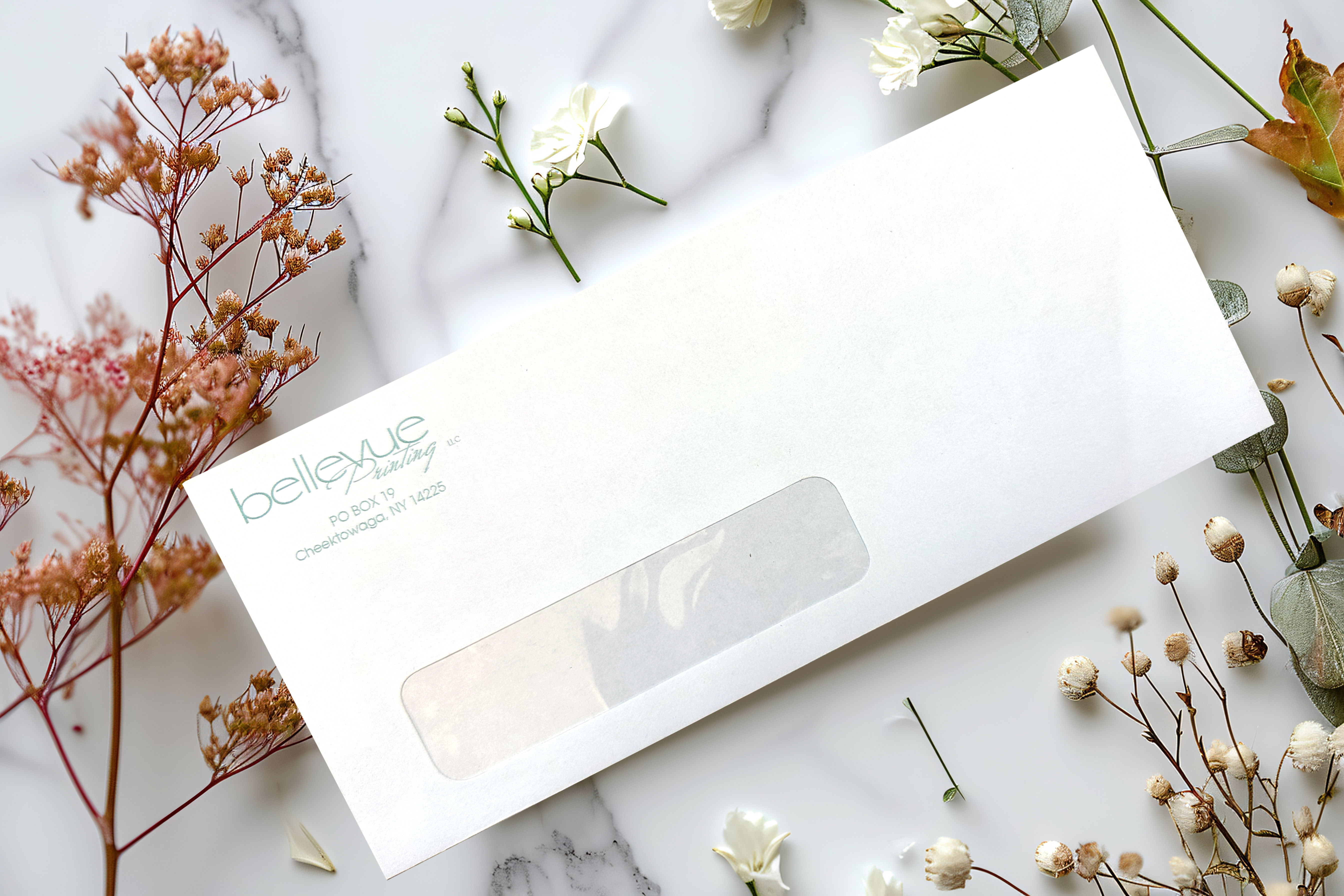 Business Envelope (#10) with Window