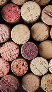banner_peq_site 4.png