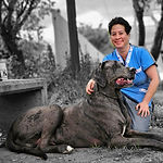 Imagen de WhatsApp 2025-07-04 a las 21.34.55_cf6b16d7.jpg