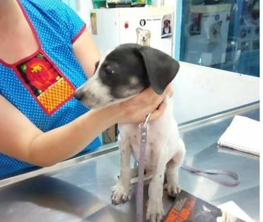 Imagen de WhatsApp 2025-07-04 a las 13_edited.jpg