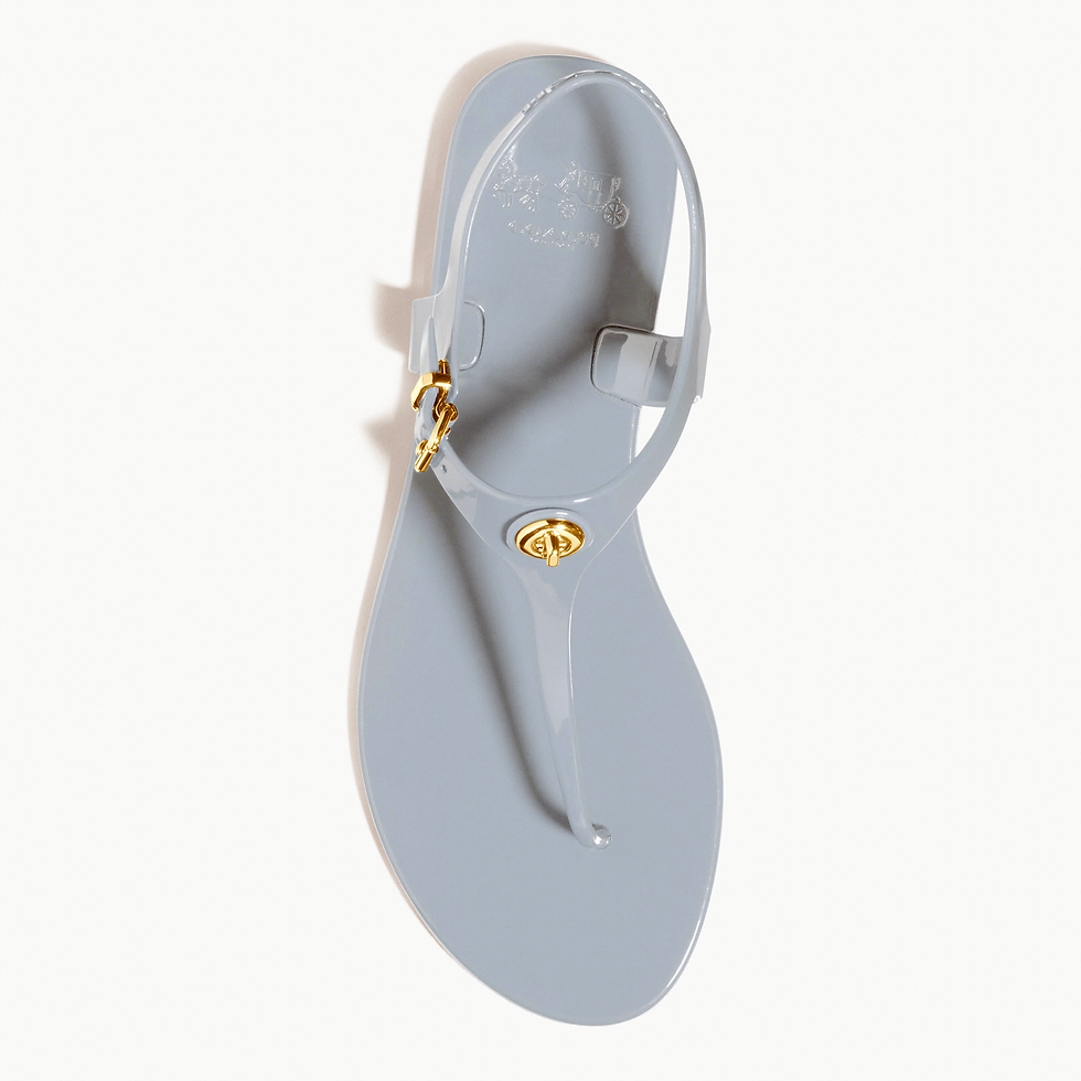 Thumbnail: COACH Pelican Jelly T-Strap Sandals