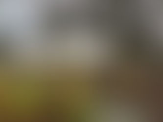 Neue Kita-Beiträge: Vertretbar oder nicht? Die Sicht der Bunten Liste