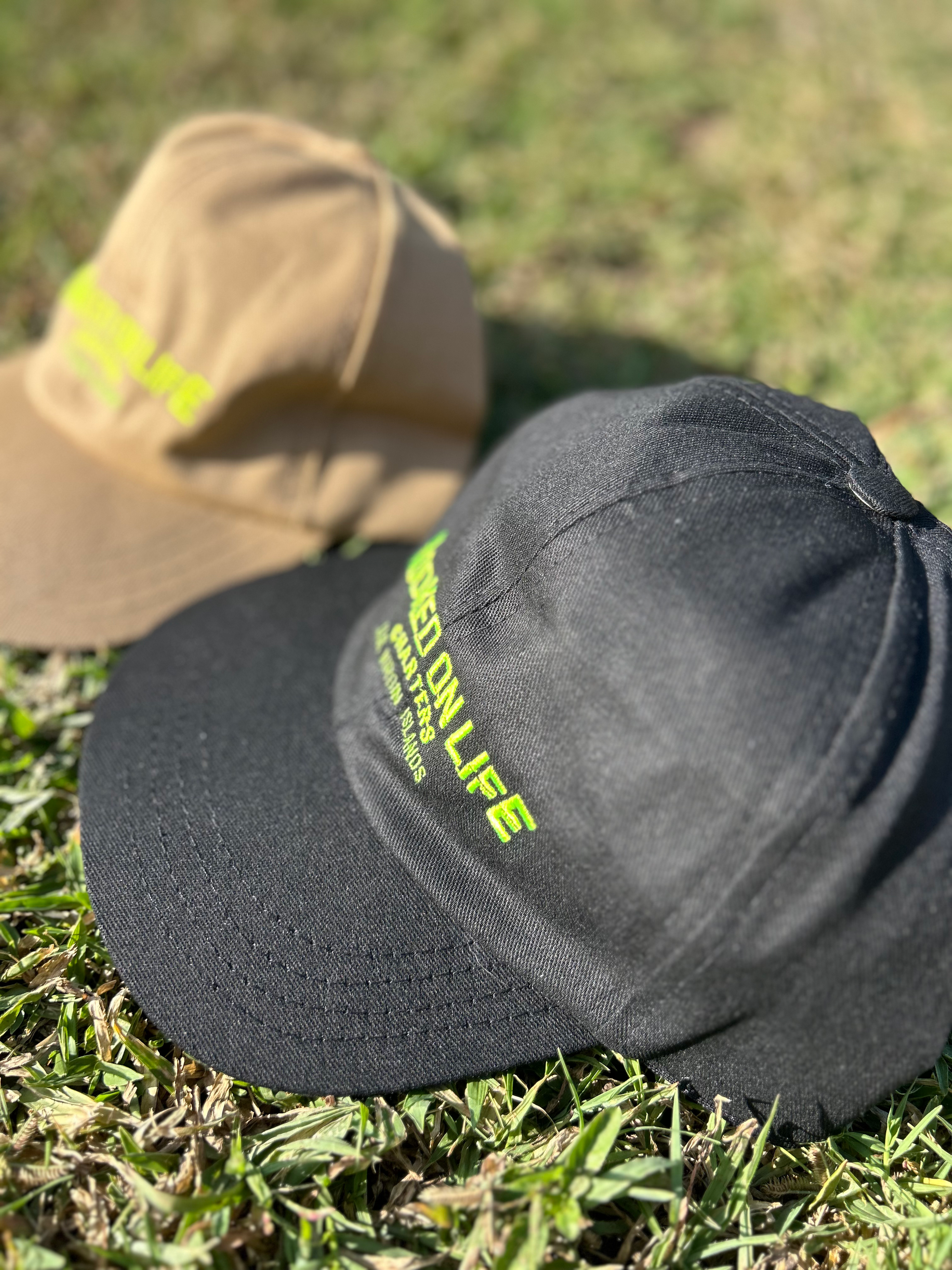 HOL Embroidered Dad Hat