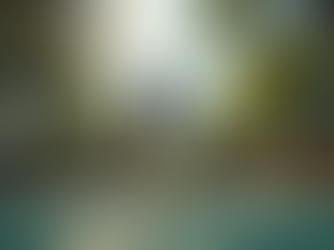 Your Inner Athlete: The Secret Method for Workplace Professionals to Achieve Peak Performance