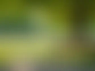 Emotional Intelligence: Audio Course