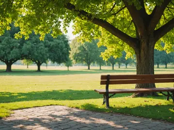 Emotional Intelligence: Audio Course