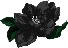 Black Magnolia