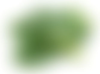 The Powerful Benefits of Leafy Greens