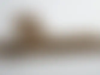 Smart Daily Choices to Improve Healthspan