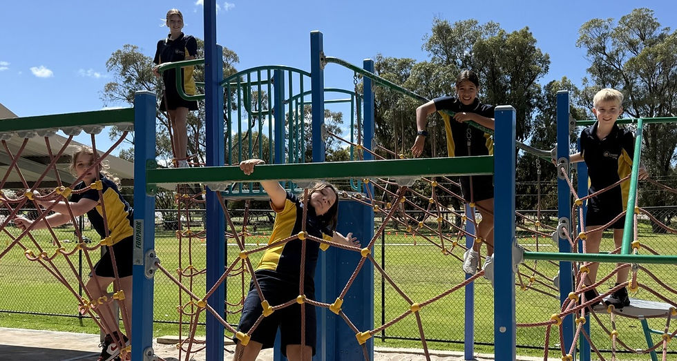 thumbnail_IMG_1222 (1).jpg