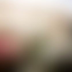 ロサンゼルス近郊の絶景ドライブ：おすすめスポット3選