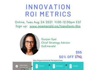 Innovation ROI Metrics ($150)