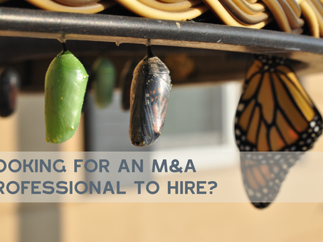 Is your organisation in critical process of transformation?