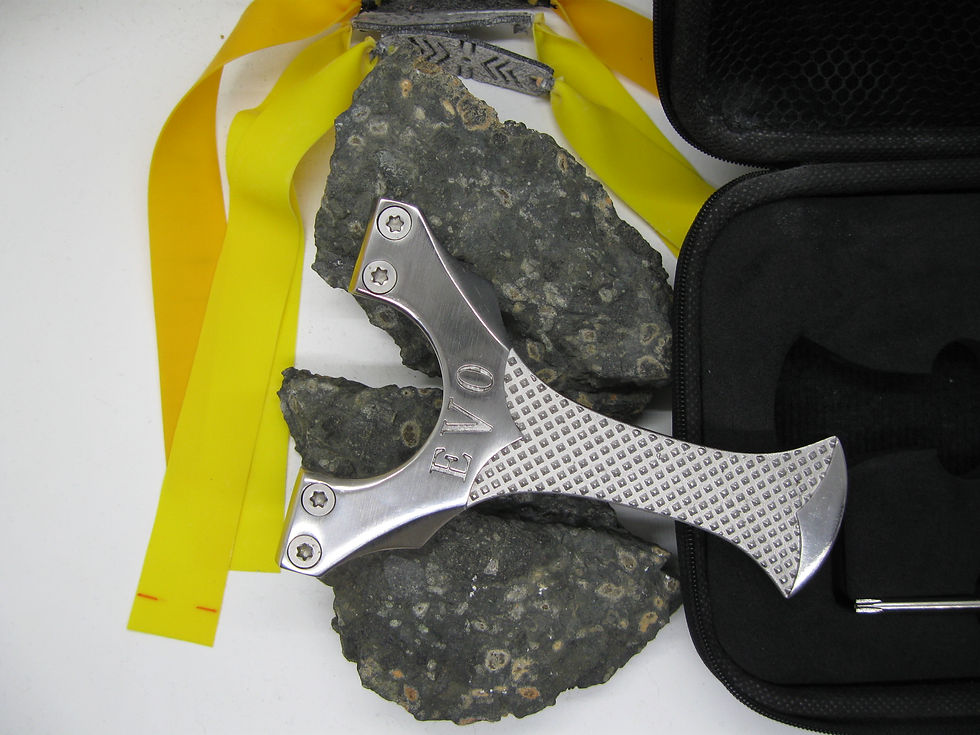Slingshot Catty EVO Field Pro With Hard EVA case 304 Stainless steel