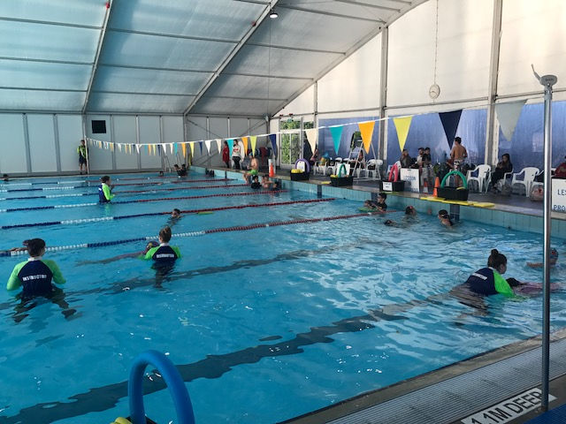 Swimming Pool Enclosure