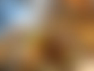 MY BEST VEGAN RESTAURANT TOP2-3