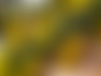 膀胱炎のお手当て