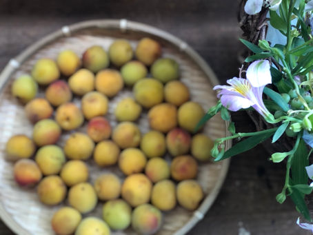 自分を信じること