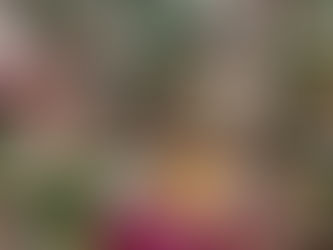 食養生cooking豆と青菜アレンジいろいろ