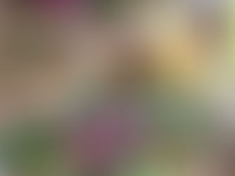 年度末リセットに無塩デトックス!