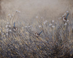 bluewrens