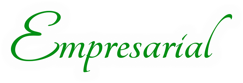 salon boda xv fiesta