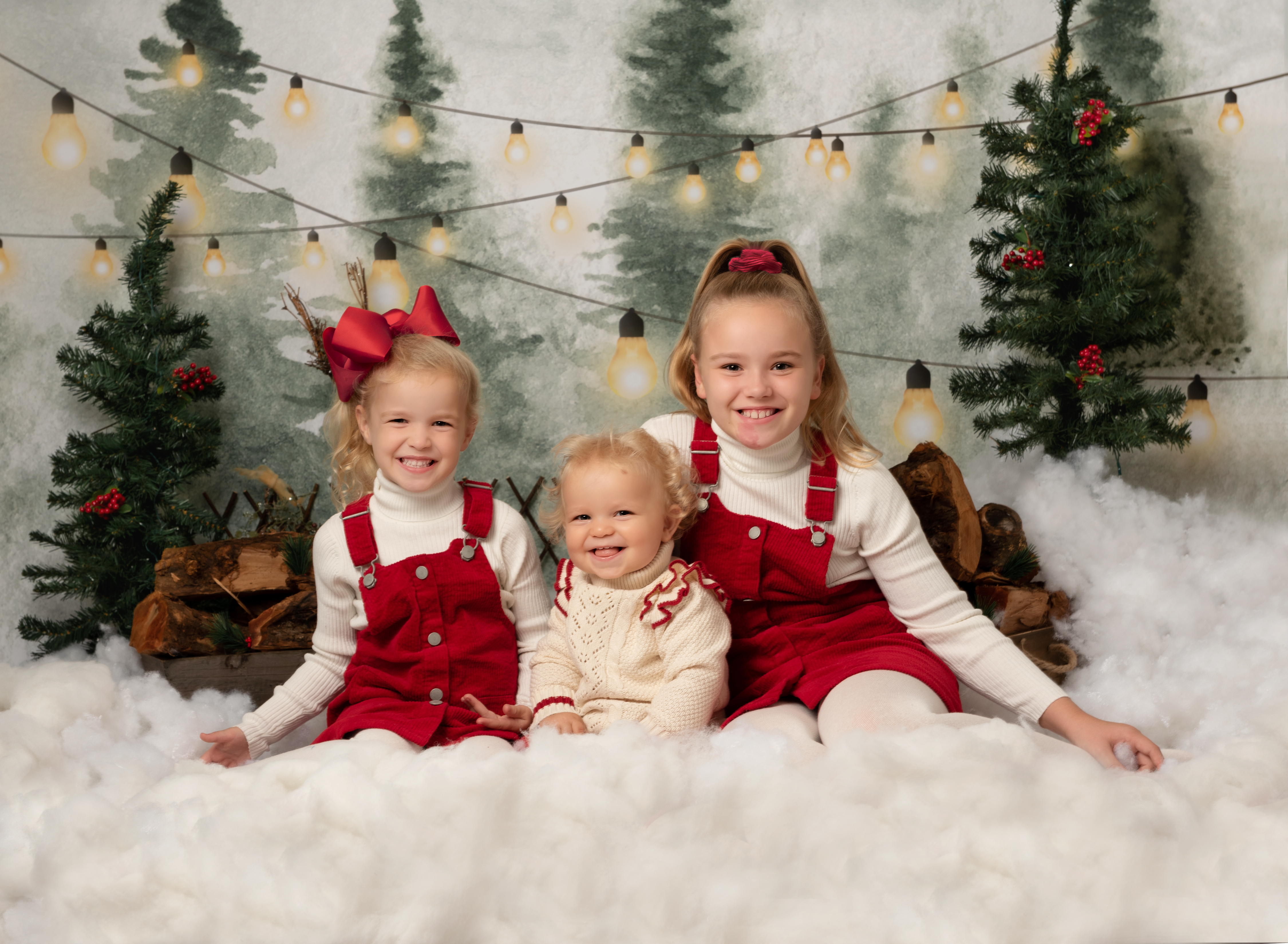 CHRISTMAS MINI SESSIONS