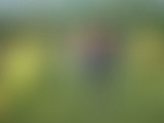 Academia Puerto Cabello por la victoria ante Angostura FC