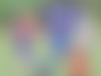 Academia Puerto Cabello cierra primera vuelta en el segundo lugar