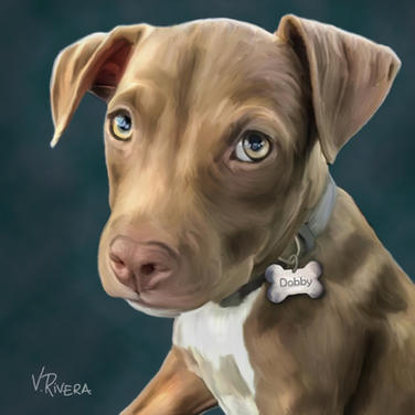 Dobby
