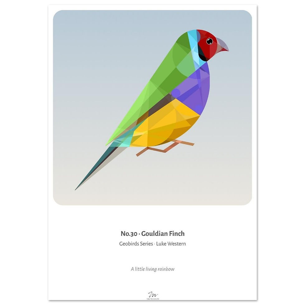Thumbnail: Gouldian Finch Art Print