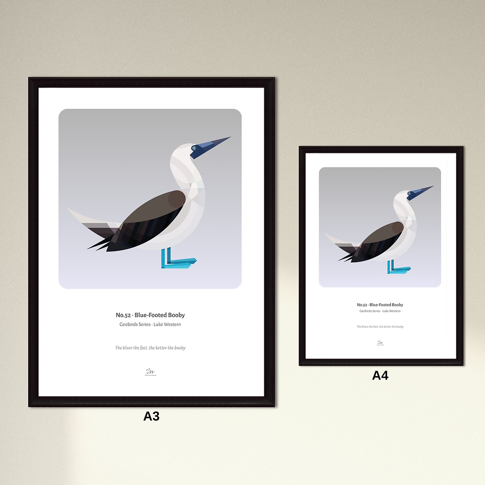 Thumbnail: Blue - Footed Booby Art Print